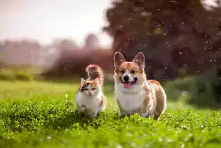 Kids Playzone at Hiranandani Estates